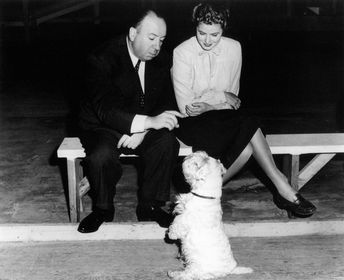 Alfred shows Ingrid Bergman few tricks that the trained dog starring in the picture has.